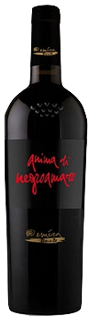 Image of Claudio Quarta Vignaiolo Anima di Lizzano Rosso Negroamaro DOC - 75cl - Apulien, Italien bei Flaschenpost.ch