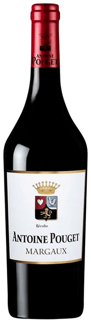 Image of Château Pouget Antoine Pouget Margaux - 75cl - Bordeaux, Frankreich bei Flaschenpost.ch