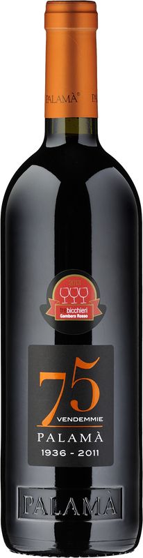 Bottiglia di Rosso Salento IGP 75 Vendemmie di Vinicola Palamà