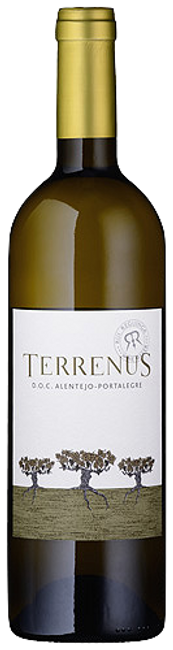 Image of Rui Reguinga Enologia Lda Terrenus Branco - 75cl - Alentejo, Portugal bei Flaschenpost.ch
