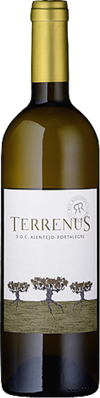 Bottle of Terrenus Branco from Rui Reguinga Enologia Lda
