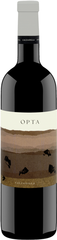 Bottle of Opta DO from Bodegas Uribes Madero