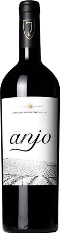 Bottle of Terras do Anjo Vinho Regional Lisboa from Quinta do Pinto