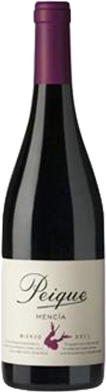 Bottiglia di Bierzo DO Peique Ramon Valle di Bodegas Peique