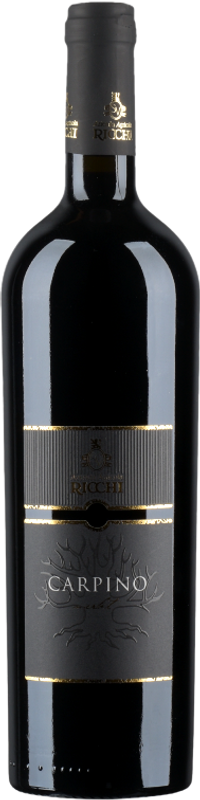 Bottle of Carpino Merlot Garda DOC from Azienda Agricola Ricchi