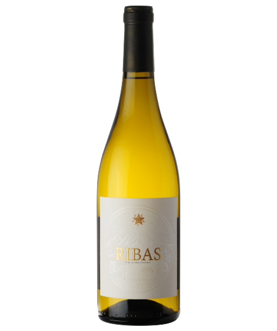 Image of Bodegas Ribas Ribas blanco - 75cl - Balearen, Spanien bei Flaschenpost.ch
