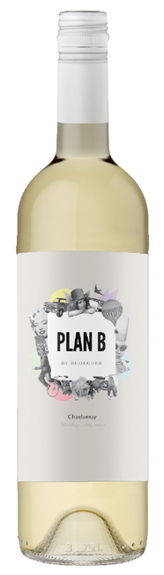Image of Bodega Budeguer Plan B Chardonnay - 75cl - Mendoza, Argentinien bei Flaschenpost.ch