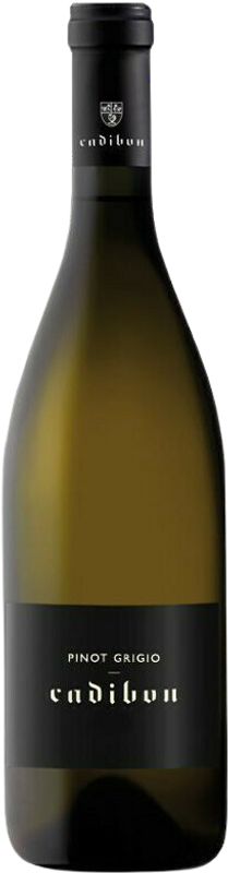 Bottle of Pinot Grigio DOP Collio Cadibon from Cadibon