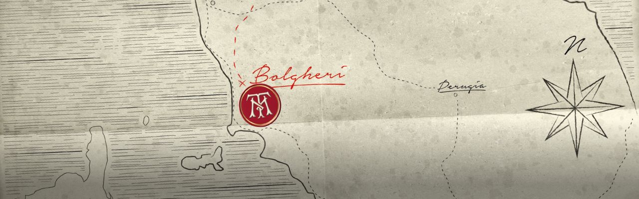 Bolgheri DOC