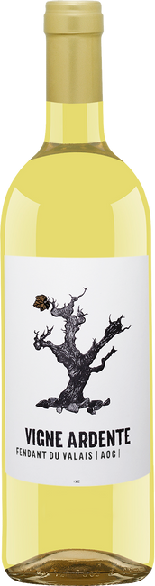 Image of Délival Vigne Ardente Fendant Valais AOC - 75cl - Wallis, Schweiz bei Flaschenpost.ch