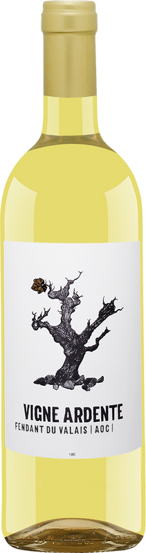 Image of Délival Vigne Ardente Fendant Valais AOC - 75cl - Wallis, Schweiz