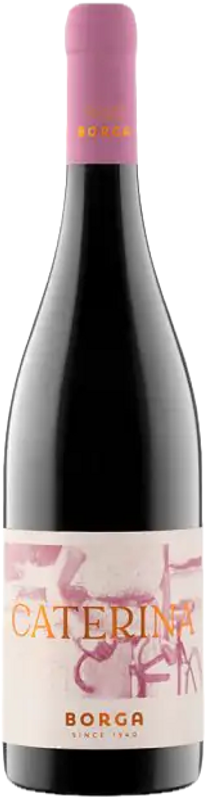 Image of Cantine Borga Caterina Borga Rosso Trevenezie IGT - 75cl - Veneto, Italien