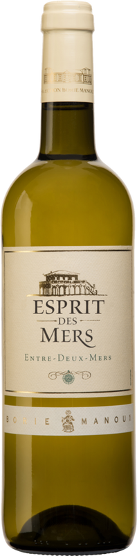 Bottiglia di Esprit des Mers Entre-Deux-Mers AOC di Château Trotte Vieille