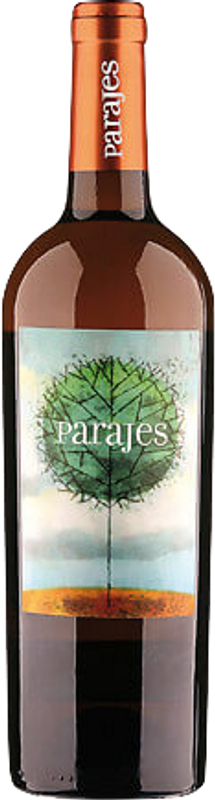 Bottle of El Quinto Paraje IGP from Rodríguez Sanzo