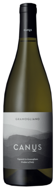 Image of Canus Gramogliano DOC Colli Orientali - 75cl - Friaul, Italien bei Flaschenpost.ch
