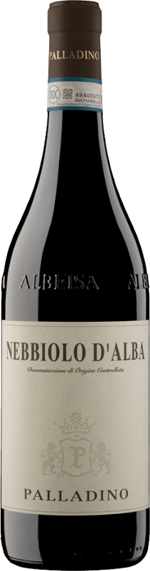 Bottle of Palladino Nebbiolo d'Alba DOC from Azienda Vinicola Palladino