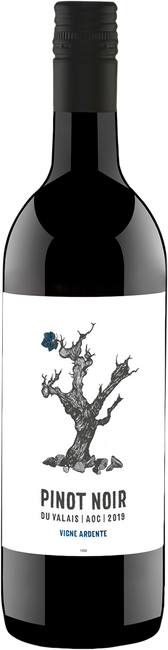 Image of Délival Vigne Ardente Pinot Noir Valais AOC - 75cl - Wallis, Schweiz bei Flaschenpost.ch