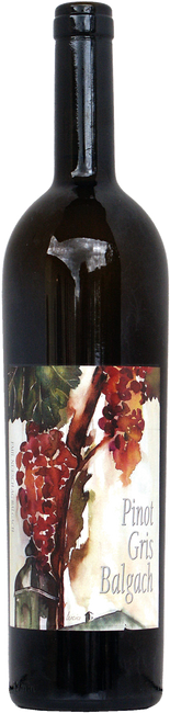 Image of Nüesch Balgach Pinot Gris AOC St.G. - 75cl - Ostschweiz, Schweiz bei Flaschenpost.ch