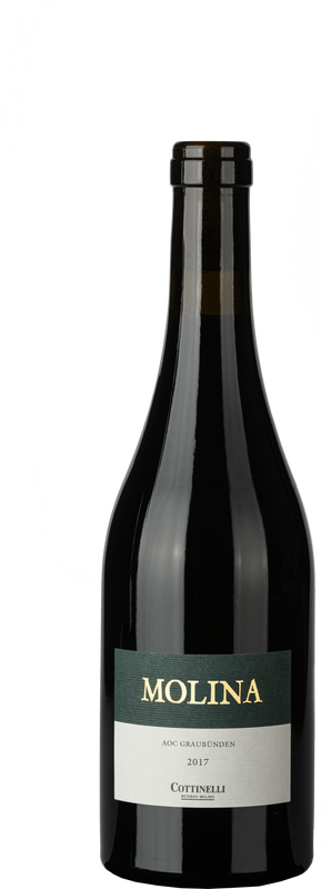 Bottle of Molina AOC from Cottinelli