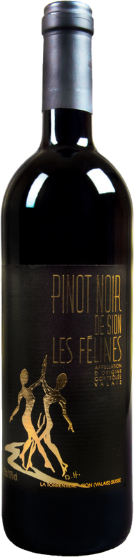 Flasche Pinot Noir de Sion Les Félines La Torrentière von Hammel SA