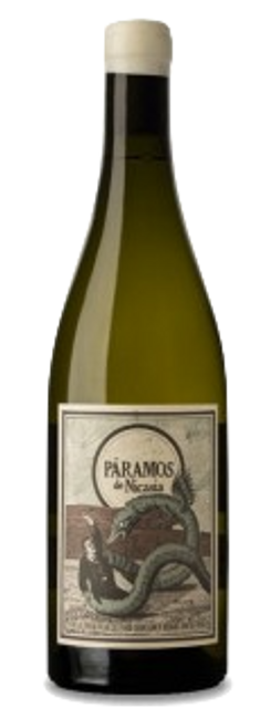 Image of Màquina & Tabla Páramos de Nicasia blanco DO - 75cl - Duero-Tal (Castilla y Leon), Spanien bei Flaschenpost.ch
