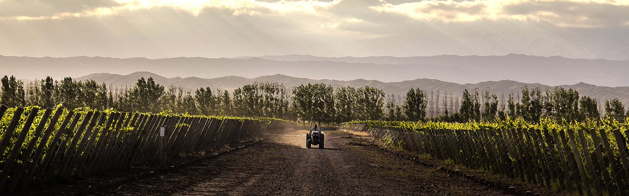 Ojo de Agua Malbec