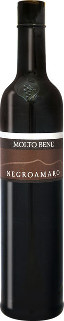 Image of Molto Bene Molto Bene Negroamaro Puglia IGP - 50cl - Apulien, Italien bei Flaschenpost.ch