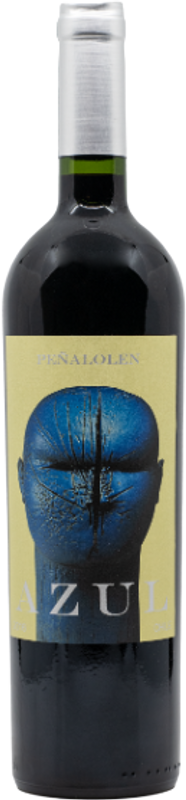 Bottiglia di Peñalolen Azul tinto Chile di Viña Quebrada de Macul