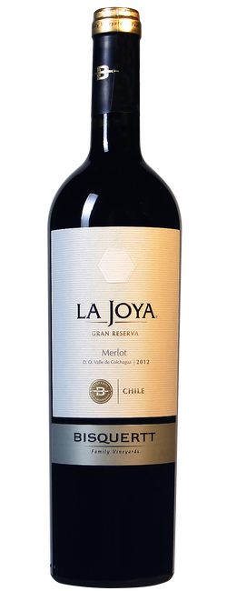 Image of Viña Bisquertt Casa La Joya Merlot Gran Reserva - 75cl - Valle Central, Chile bei Flaschenpost.ch