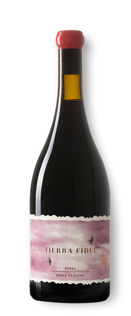 Image of Labastida Tierra Fidel Rioja DOCa - 150cl - Oberer Ebro, Spanien bei Flaschenpost.ch