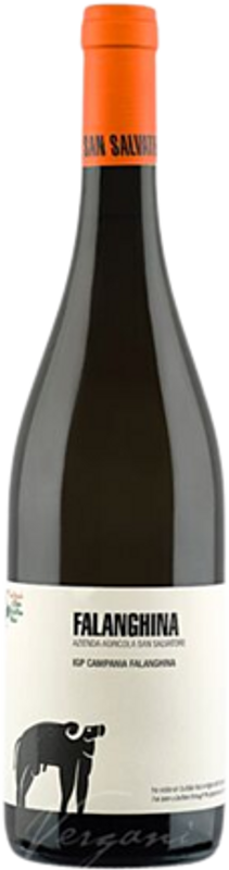 Bottle of Campania IGP Falanghina from San Salvatore
