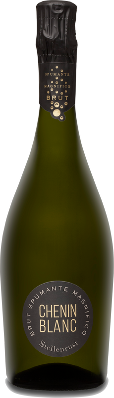 Bottle of Stellenrust Spumante Chenin Blanc from Stellenrust