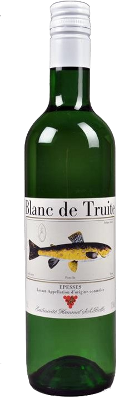 Flasche Epesses AOC Blanc de Truite von Hammel SA