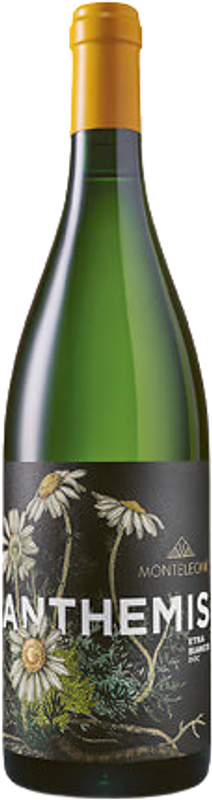 Bottle of Anthemis Etna Bianco DOC from Monteleone