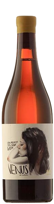 Image of Venus la Universal Venus Blanc DO - 75cl - Katalonien, Spanien bei Flaschenpost.ch