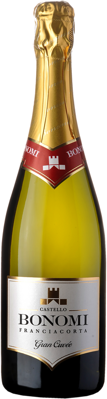 Bouteille de Franciacorta Brut Gran Cuvée Cru de Cantina Paladin