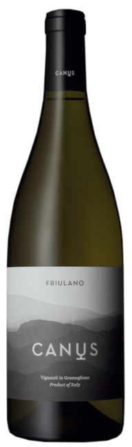 Image of Canus Friulano DOC Colli Orientali - 75cl - Friaul, Italien bei Flaschenpost.ch