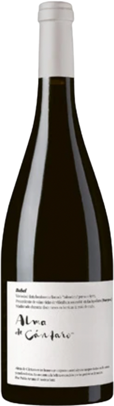 Flasche Alma de Cántaro Bobal Vino de mesa von Magna Vides