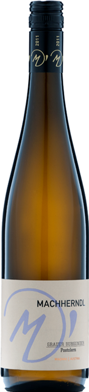 Image of Weingut Machherndl Grauer Burgunder Postolern - 75cl - Niederösterreich, Österreich