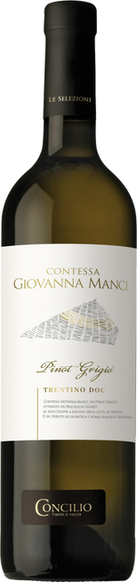 Image of Concilio Selezione Contessa Manci Pinot Grigio Trentino DOC - 75cl - Trentino, Italien bei Flaschenpost.ch