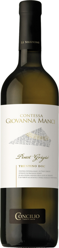 Bottle of Selezione Contessa Manci Pinot Grigio Trentino DOC from Concilio