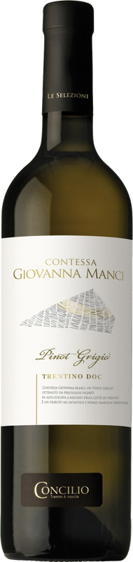 Bouteille de Selezione Contessa Manci Pinot Grigio Trentino DOC de Concilio