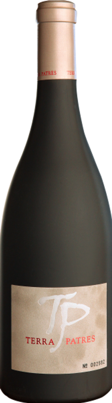 Bottiglia di Terra Patres di Alma Cersius