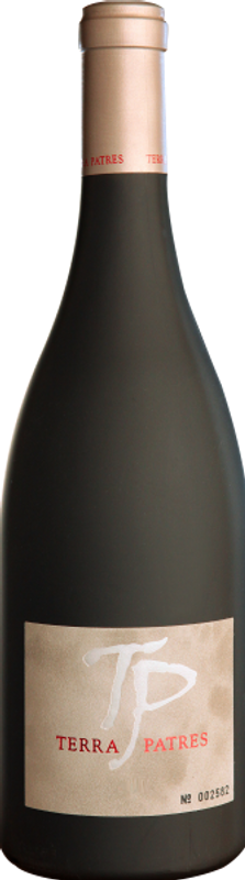 Flasche Terra Patres von Alma Cersius