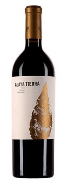 Image of Bodegas Atalaya ALAYA "Tierra" - 75cl - Meseta, Spanien bei Flaschenpost.ch