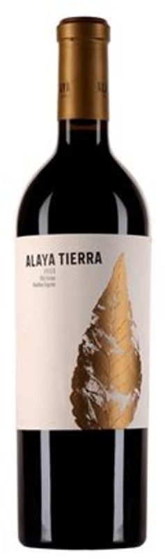 Bottle of ALAYA "Tierra" from Bodegas Atalaya