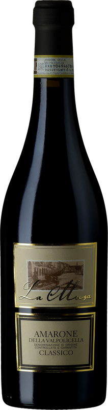 Image of Cantina Valpolicella Negrar La Musa Amarone Valpolicella Classico DOC - 37.5cl - Veneto, Italien