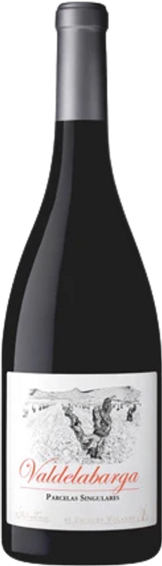 Bottle of Valdelabarga Calatayud DO from El Escoces Volante