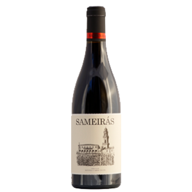 Image of Adega Sameirás Sameirás DO Ribeiro Caíño, Sousón, Mencía, Brancellao - 75cl bei Flaschenpost.ch