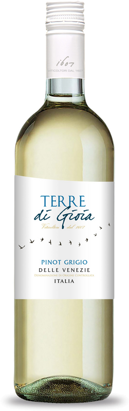 Bottle of Terre di Gioia Pinot Grigio IGT from Albino Armani